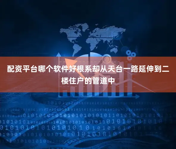 配资平台哪个软件好根系却从天台一路延伸到二楼住户的管道中