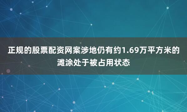 正规的股票配资网案涉地仍有约1.69万平方米的滩涂处于被占用状态