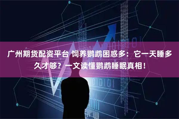 广州期货配资平台 饲养鹦鹉困惑多：它一天睡多久才够？一文读懂鹦鹉睡眠真相！