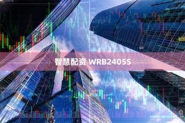 智慧配资 WRB2405S